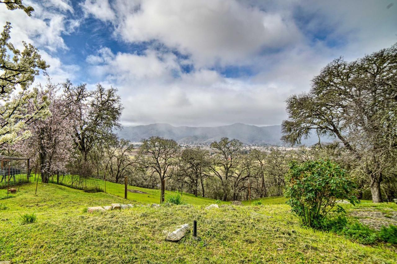 Hilltop Loft Ukiah Vacation Rental! Esterno foto