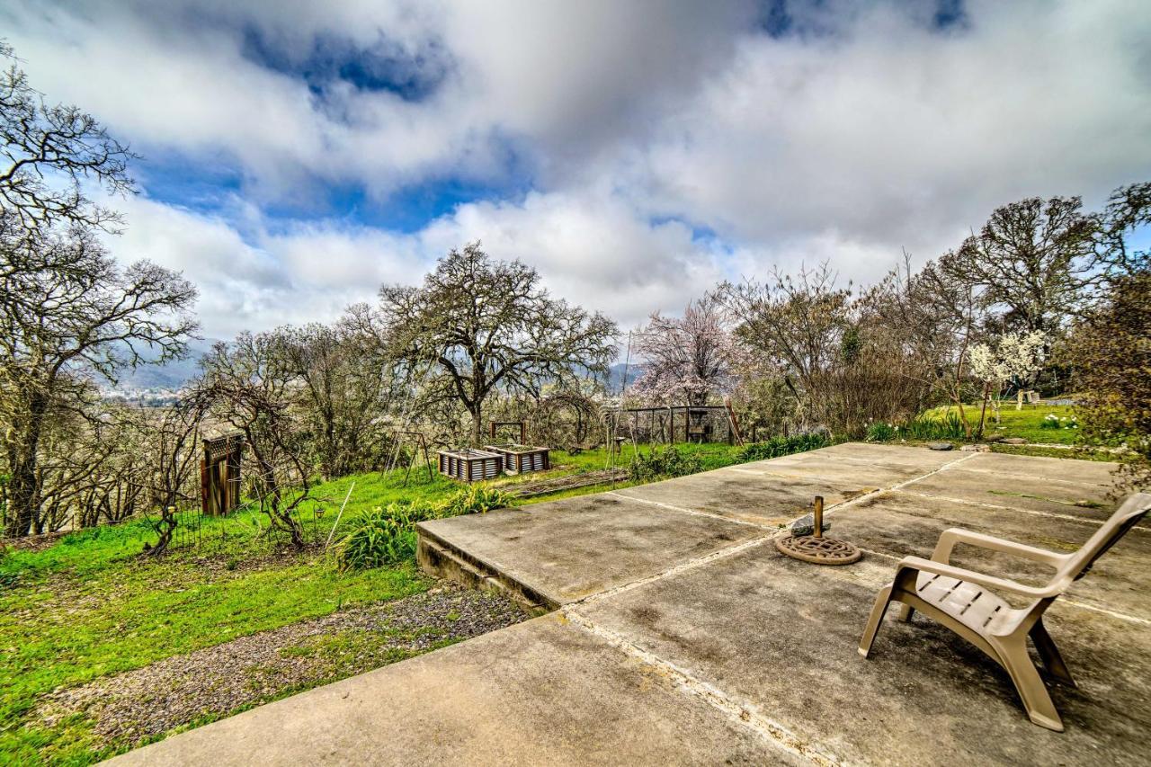 Hilltop Loft Ukiah Vacation Rental! Esterno foto
