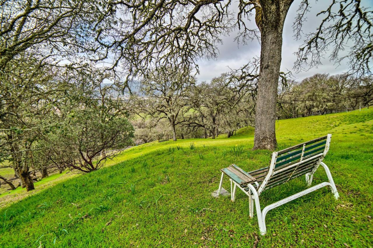 Hilltop Loft Ukiah Vacation Rental! Esterno foto